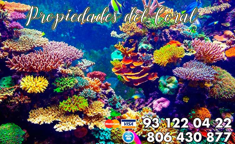 propiedades del coral