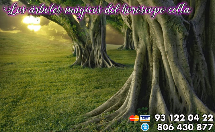 Los árboles mágicos del horóscopo celta