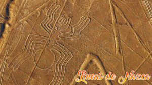 las lineas de Nazca